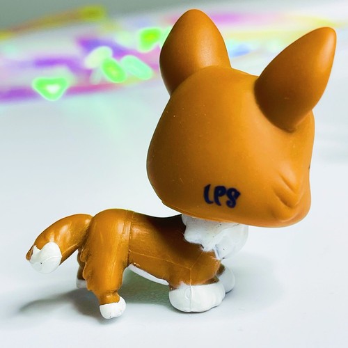Authentic Littlest Pet Shop LPS # 2150 Brown & White Corgi Puppy Dog Aqua Eyes - Picture 8 of 11