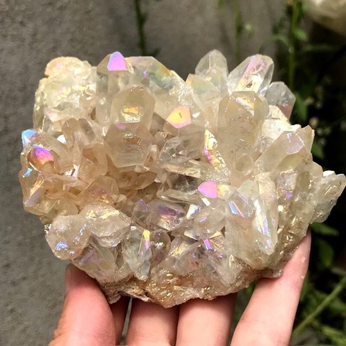 610 g seltene Farbe klar Quarz Cluster Kristall Mineral Probe Heilung - Bild 4 von 23