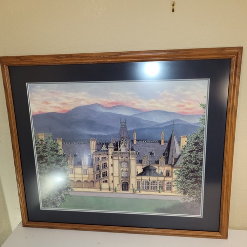 Summer At Biltmore Teresa Pennington 410 Of 500 - Picture 2 of 8