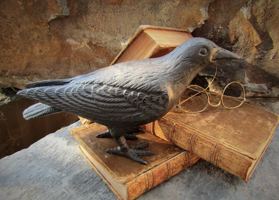 Primitivo Grande Realista Decorativo Hierro Fundido Cuervo Pájaro Negro Cabeza Foto 3 de 3