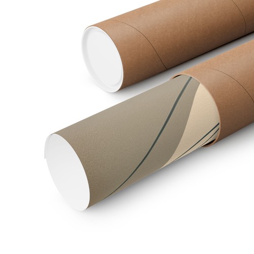 Matte Square Poster Wall Art Minimalist Swallow Pastel Abstract Nature Bird Love - Picture 4 of 57