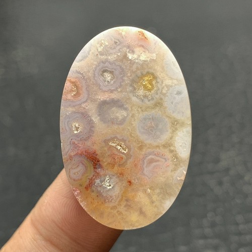 Unique Coral Fossil Cabochon 31.5x20x5mm High Quality 28.5 ct - Picture 8 of 8
