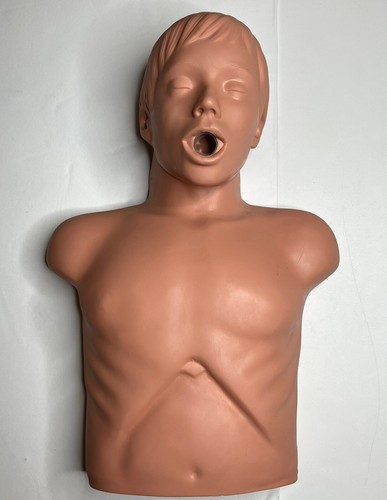 American Safety & Health Institute Sani-man HLW Erste Hilfe Erwachsene Schaufensterpuppe