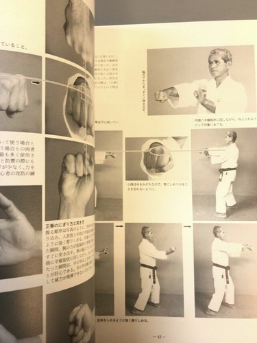 OKINAWA KARATE Japanese martial arts Traditional 2 book Shohei-ryu bushido MZ - Picture 5 of 11