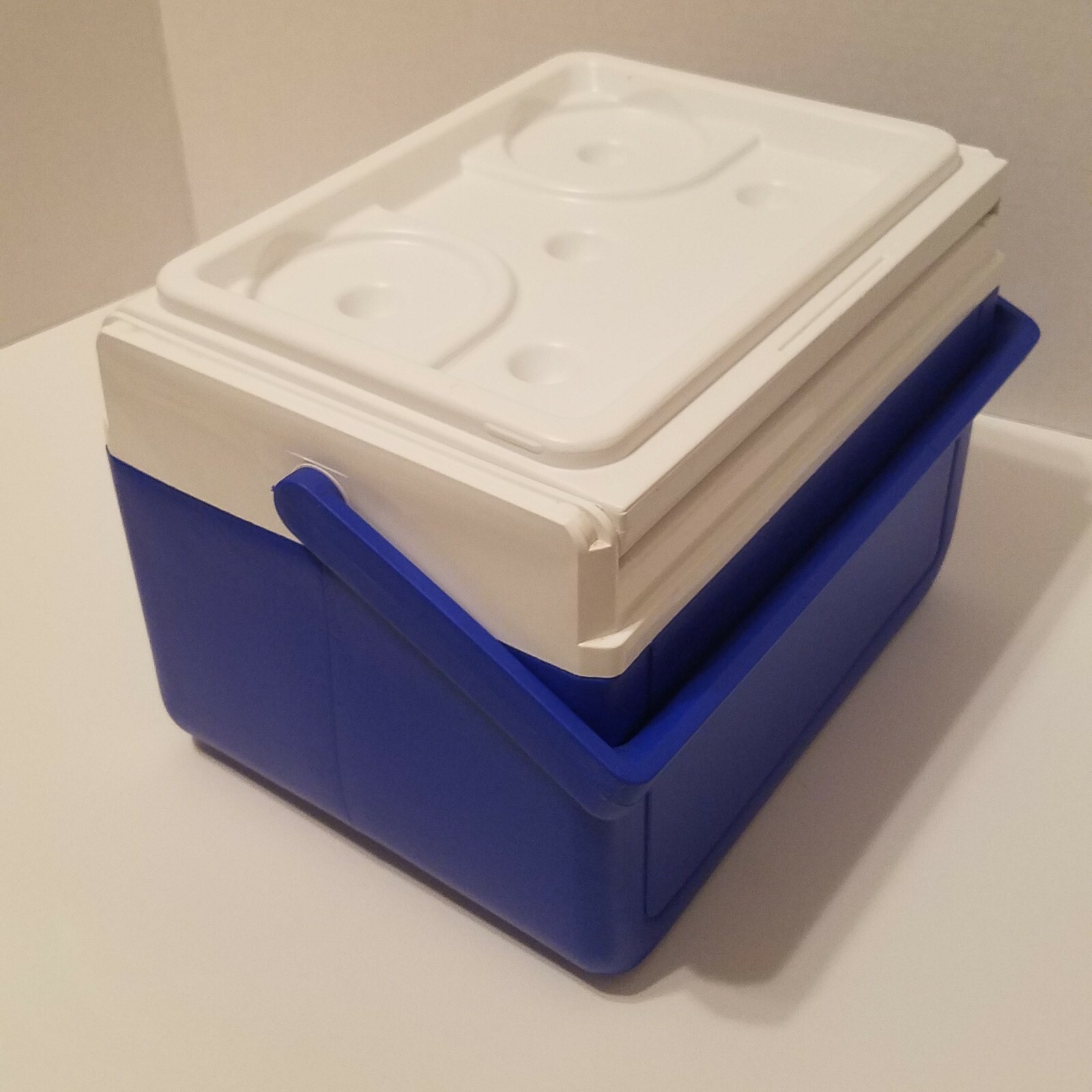 coleman cooler model 6209