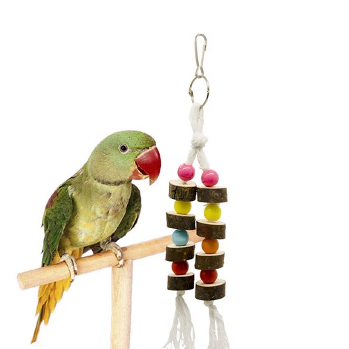 7pcs Parrot Toy Parrot Cage Accessories Conure Toys Bird Swing Parrot ventes exceptionnelles Bite Toy