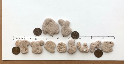 Pietre da spiaggia naturali a forma di lettera IL MIO TESORO parole rocce ciottoli arte artigianato strega - Foto 8 di 10