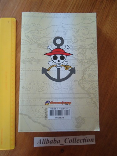 Manga one piece Log 18 Grand Format Eiichiro Oda Kollektion Hachette VF Buch - Bild 3 von 4