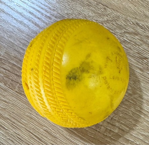 Used Cricket Sping Ball Spin and Swing Batting Trainer - Bild 2 von 2