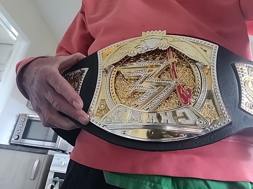 Jakks Pacific 2002 2003 2004 2005 World Wrestling Toy Belts - Picture 9 of 15