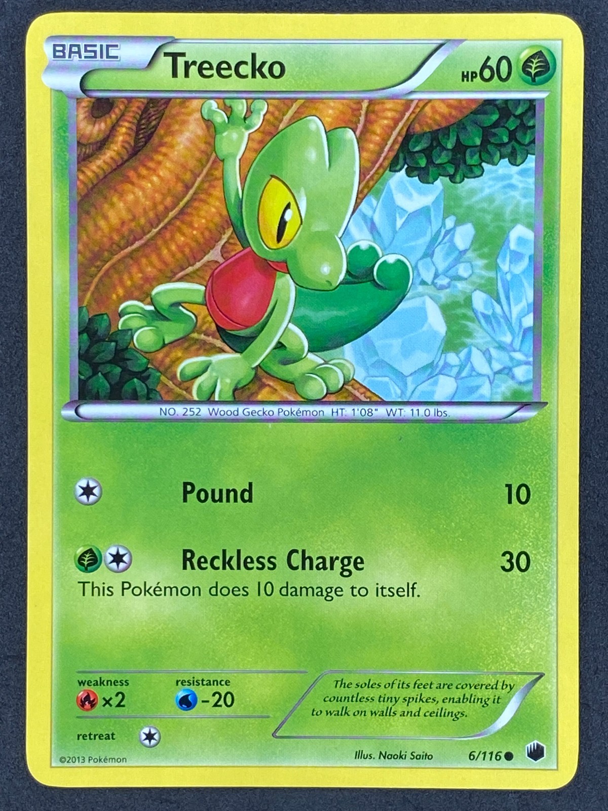 Pokémon Treecko 6/116 PLF Plasma Freeze LP/NM
