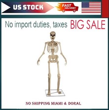 8ft Animated Giant Skeleton Decoration