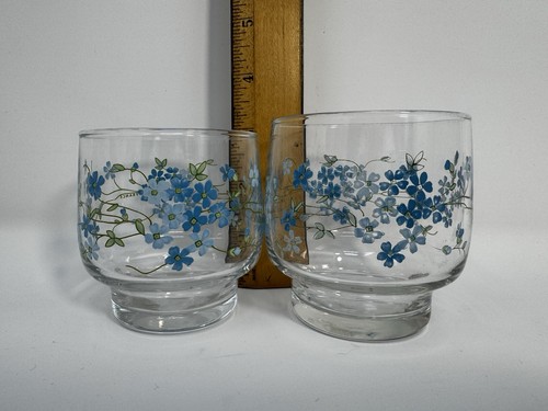 Juego de 19 piezas de colección Arcopal Francia Verónica Forget Me Nots jarra agua y jugo - Imagen 20 de 21