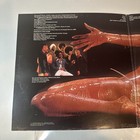 Foto 3 di 11