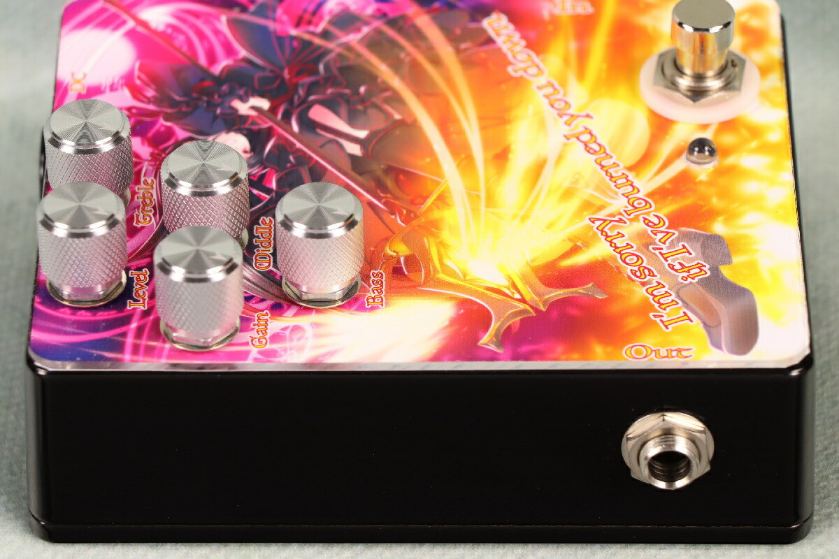 とっておきし福袋 New Sound down you burned I've if sorry I'm SIVA Project ギター