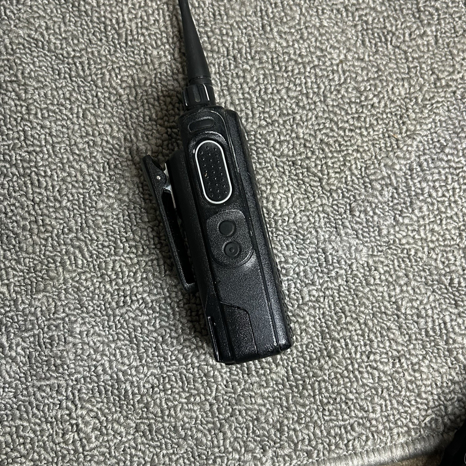 Foto 10 di 10
