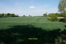 Photo 12x8 Wheat field near Tollsworth Manor Chaldon  c2019