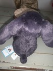 Picture 3 of 5