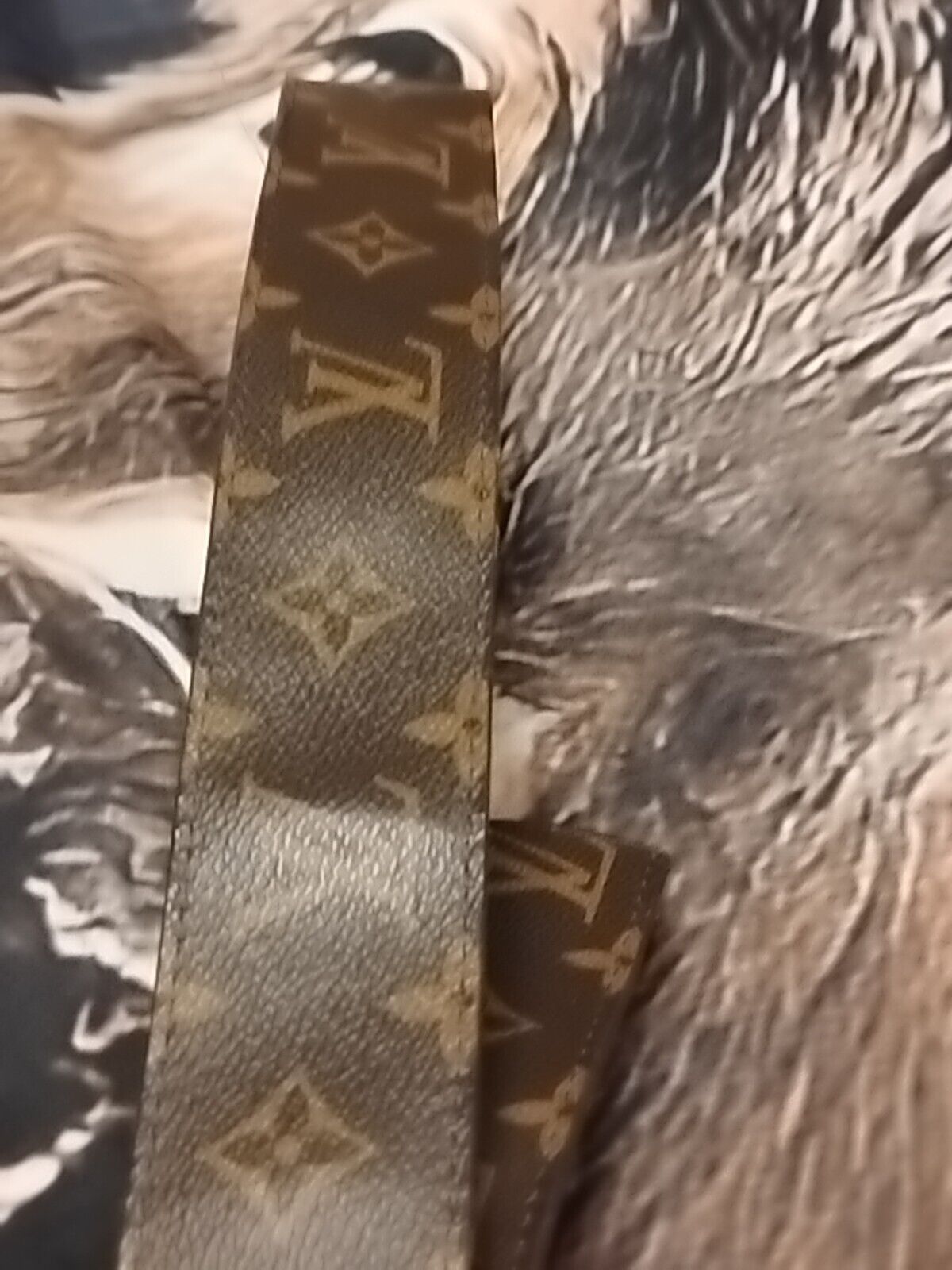 Picture 9 of 12