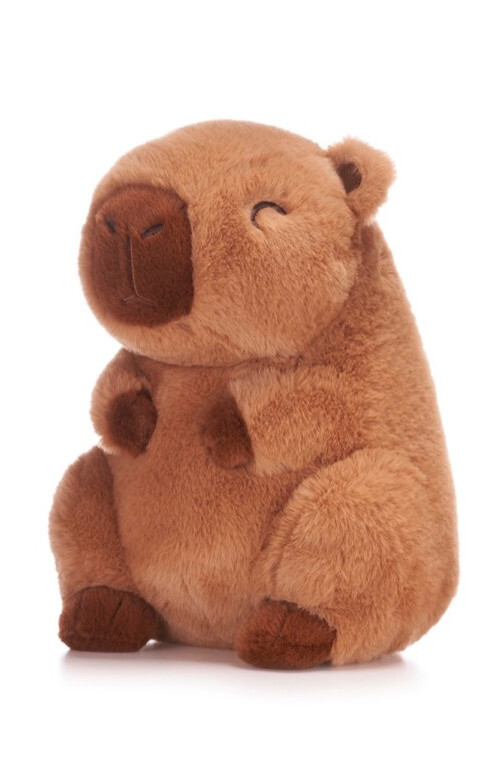 OFFICIAL KAWAII KUITES CAPYBARA SUPER SOFT PLUSH SOFT TOY 22CM NEW WITH TAGS WH