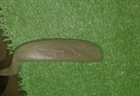 Bild 11 von 11