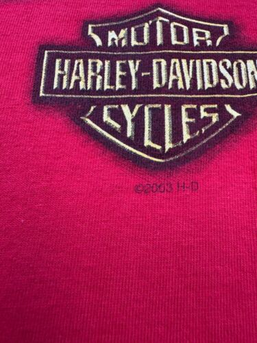 Camisa De Colección Harley Davidson Adulto Grande 2003 Calgary Canadá Gráfico Cuello Redondo EE. UU. - Imagen 9 de 13