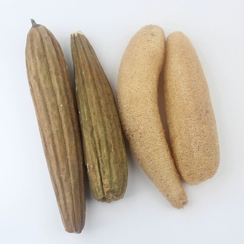 3 × 12 Zoll Loofah Schwamm kompostierbar Luffa Peeling Schwamm Küche Geschirrtuch - Bild 4 von 6