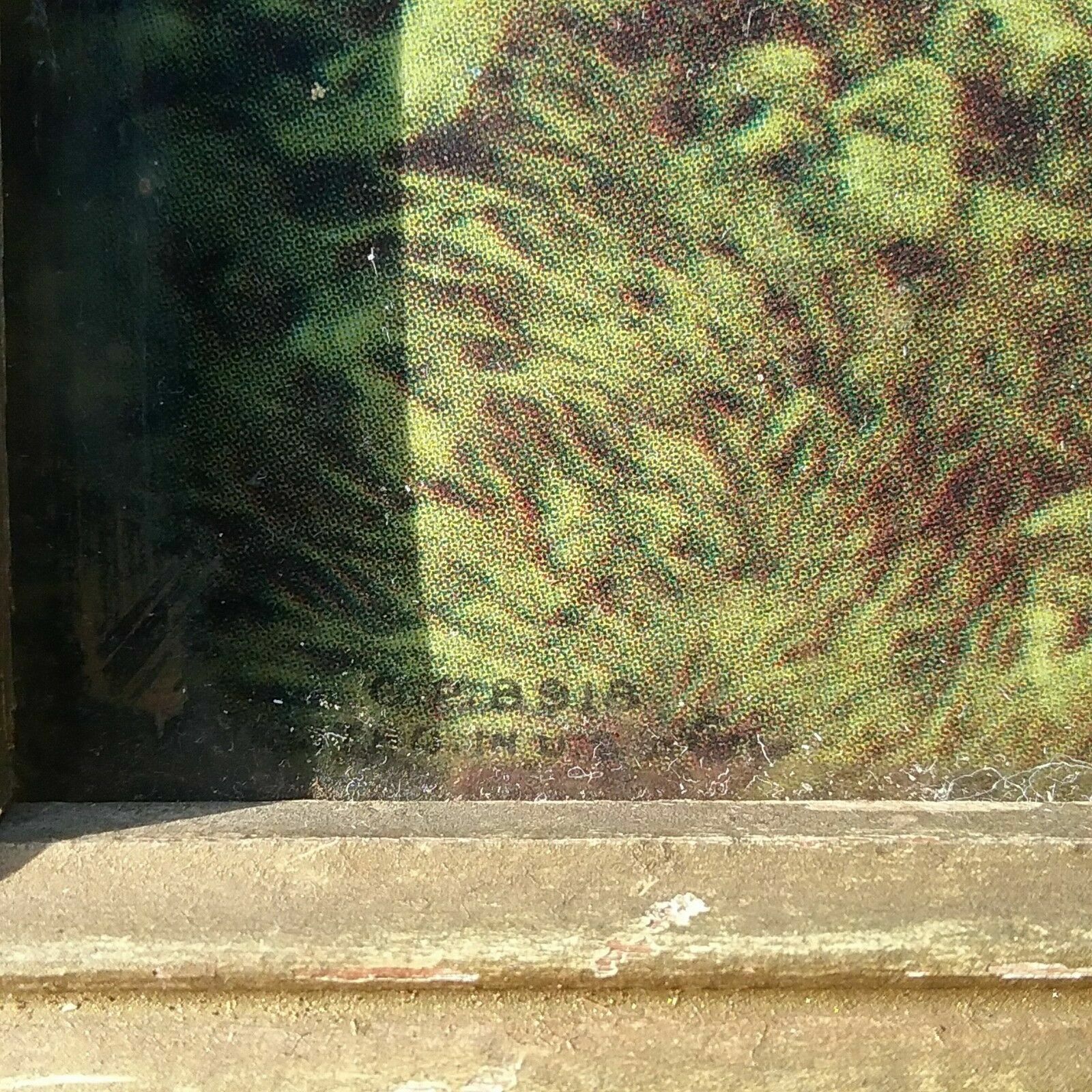 Picture 5 of 6