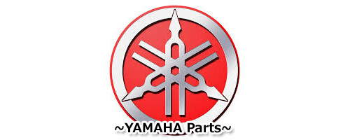 AfterMarket SKAT-TRAK SPECIAL ORDER IMPELLER 15/15 E-75
