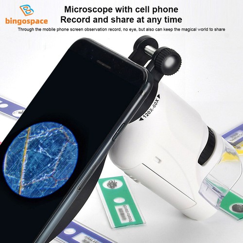 Mini Pocket Microscope 60-120x Lab Handheld Kids Science Microscop W/ LED Light - Picture 12 of 16