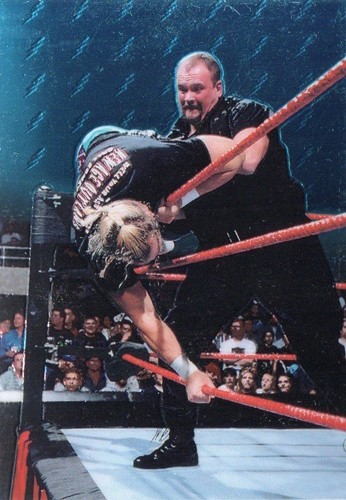 World Wrestling Federation WWF WCW Individual Smackdown Trading Cards + Chrome - Picture 4 of 135