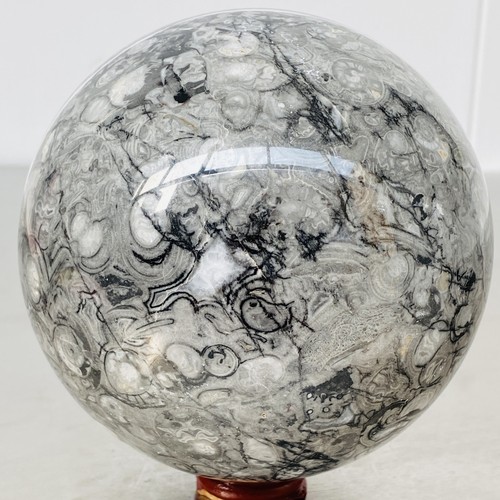 Insectoconcha Natural Cristal Fósil Bola Cuarzo Cristal Esfera Reiki Healing3340G - Imagen 9 de 12