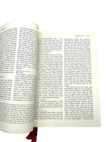 FRIEDENSREICH HUNDERTWASSER BIBEL Pattloch 1995 Altes Neues Testament NEUWERTIG - Bild 7 von 8