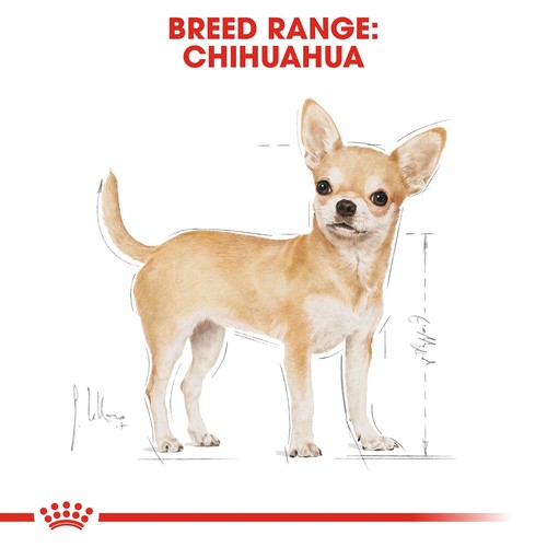 Chihuahua Adult Dry Dog Food, 1.5kg - Picture 3 of 8