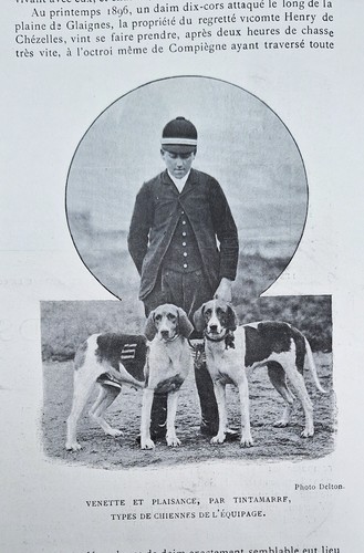 CHASSE VENERIE GRANDS EQUIPAGES ELEVAGE HARAS SAN ROSSORE SPORT UNIVERSEL 1899 - Foto 6 di 17