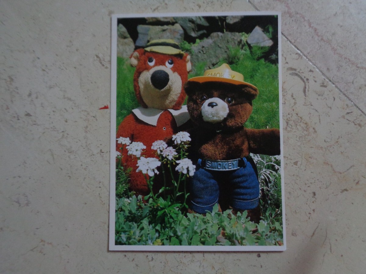 vintage COLLECTORS TEDDY BEAR POSTCARD SET #2 | eBay