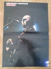 BILLY CORGAN SMASHING PUMPKINS - MY RUIN Centrefold magazine POSTER 17x11 inches