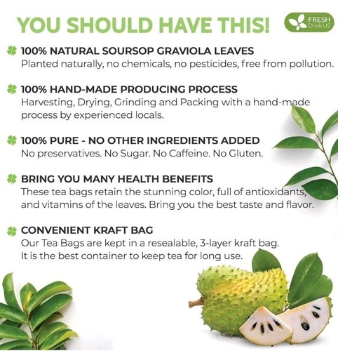 FreshDrinkUS Soursop Graviola Blatt Teebeutel 105 Hoja Guanabana Tee *Exp 1/2025 - Bild 4 von 12