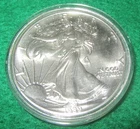 1989 American Silver Eagle perfect UNC coin - B