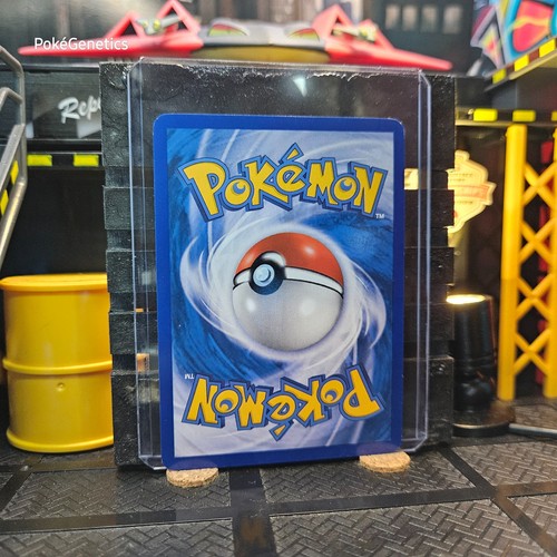 Feebas Great Encounters Pokémon TCG 67 Diamond & Pearl Common - Picture 4 of 6