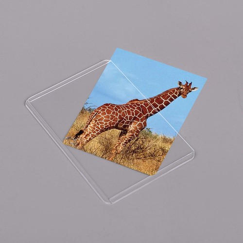 20 Stck. PVC Langlebig Klar Sammelkarten Hüllen Display Halter Schutzfolien 35-180PT - Bild 4 von 16