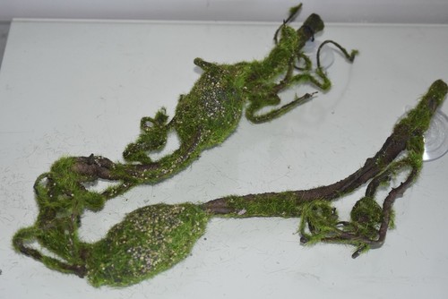 Terrario Tropical Retorcido Bendy Vid Planta &Ventosas Aprox 78x6x6CM A Claro - Imagen 7 de 8