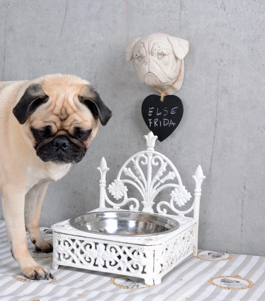 Fressnapf shabby Hundenapf Gusseisen Wassernapf weiß Napf Landhaus Futternapf - Bild 2 von 4