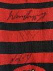 Picture 5 of 15