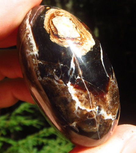 FUDGE SWIRL CHOCOLATE BROWN BLACK OPAL GEM GRADE CRYSTAL PALMSTONE MADAGASCAR *6 - Picture 7 of 12