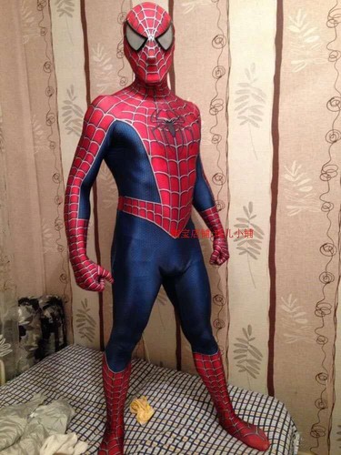 Raimi Spiderman Costume 3D Print Spandex Superhero Cosplay Adult & Kids Suit New - Picture 3 of 12
