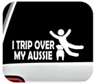 Trip Over My Aussie Australian Shepherd Dog Decal Sticker Haulin Auss Pet BG2080