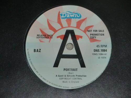 BAZ. PORTRAIT. DAWN DNS.1084 (SUPER PROMO TRACK)