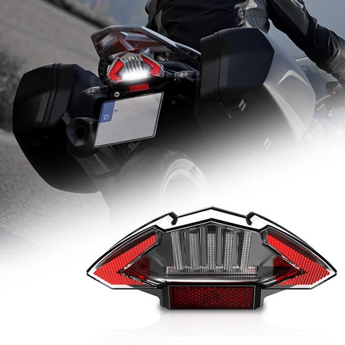 LED Tail Light Brake Lamp For BMW F650GS / F800 R/S/ST/GT / R1200GS / GS650GS - Picture 11 of 14