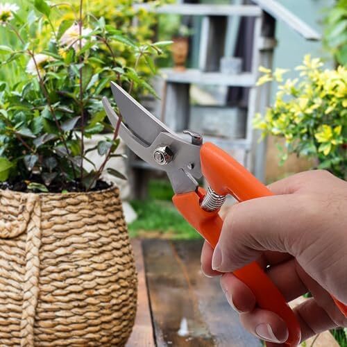 Garden Pruning Shears 2 Pack, 7 inch Flower Gardening Shears, Scissors Clippers - Picture 2 of 4